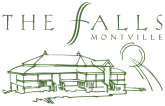 The Falls Montville